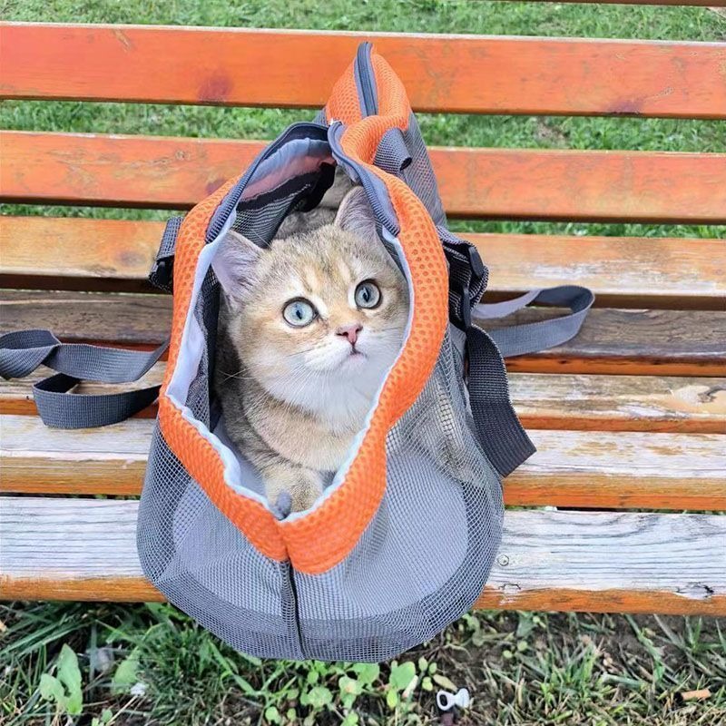 Pet Portable Shoulder Backpack - Foldable Backpack Small review and price